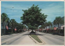 Las Olas Boulevard, Fort Lauderdale Postcard