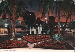 Lincoln Road Mall at Night, Miami Beach Postcard