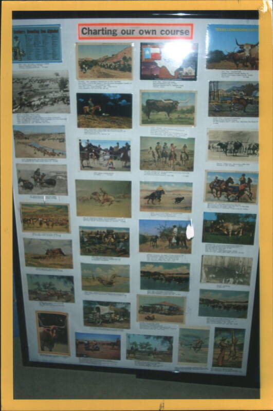 Charting Our Own Course - Cattle Drive Display Board Weslaco Texas
