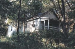 Wild Wind Cottage, Graves' Mountain Lodge, Syria, VA Postcard