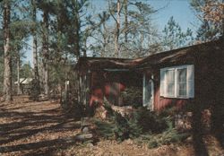 First Locally Financed Tourist Welcome Center, Dublin, GA Postcard