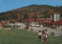 Fall time in Alpine Village "Helen", Georgia Postcard