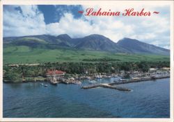 Lahaina Harbor, Maui Postcard