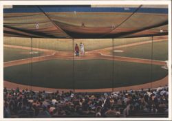 Yankee Stadium Screenplay by William Feldman Postcard