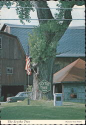 The Scythe Tree, Elmira, NY Postcard