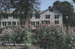 Silver Spruce Inn with Flower Garden Postcard