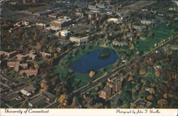Aerial View of University of Connecticut Postcard