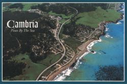 Cambria Pines By The Sea Postcard