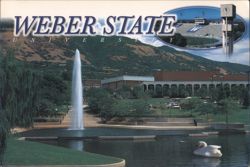 Weber State University, Fountain and Swan Postcard