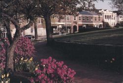 Church Park in Wellesley, Massachusetts Postcard