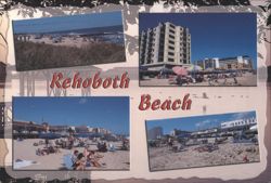 Rehoboth Beach Scenes Postcard