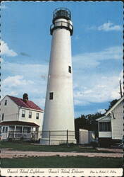 Fenwick Island Lighthouse Postcard