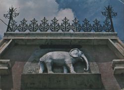 The White Elephant Saloon, Fredericksburg Postcard