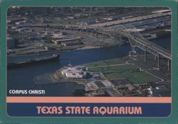 Texas State Aquarium, Corpus Christi Postcard