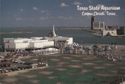 Texas State Aquarium, Corpus Christi, Texas Postcard