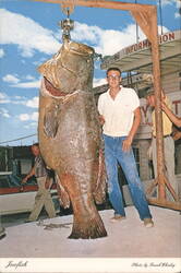Giant Jewfish Weighing 664 lbs. Postcard