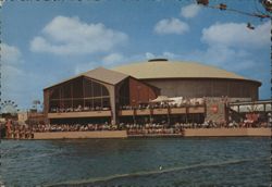 Lone Star Hall of Texas History Postcard