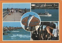 Port Aransas, Home of the Fighting Marlins, Fishing Scenes Postcard