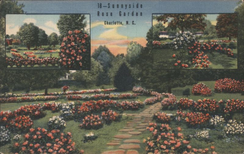 Sunnyside Rose Garden, Charlotte, N.C. North Carolina
