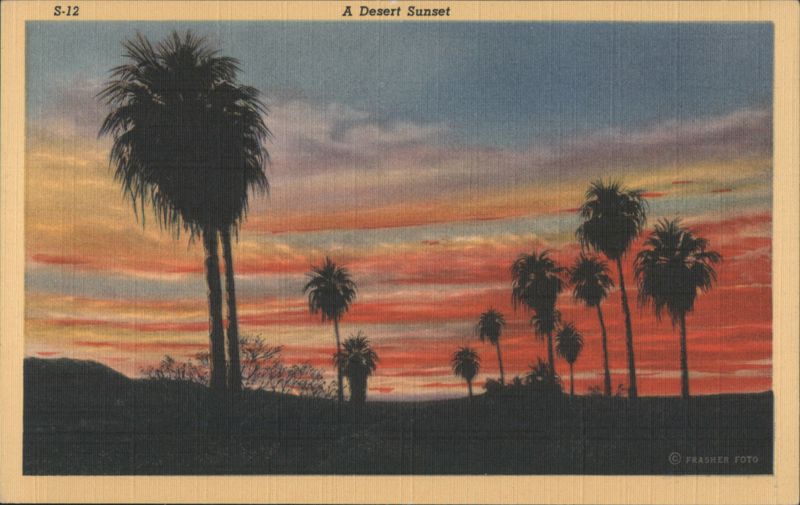 A Desert Sunset Tucson Arizona Frasher Foto