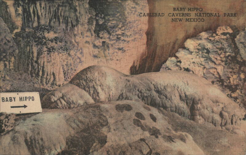 Baby Hippo, Carlsbad Caverns National Park, New Mexico