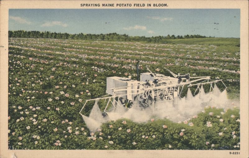 Spraying Maine Potato Field in Bloom