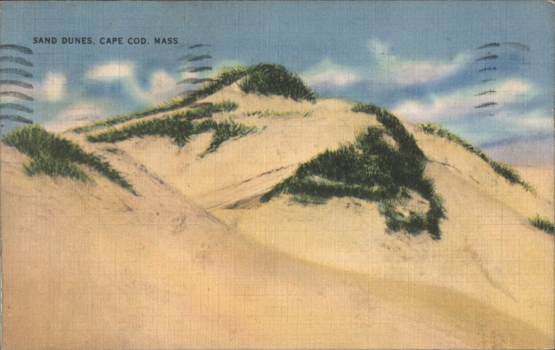 Sand Dunes, Cape Cod, MA Massachusetts