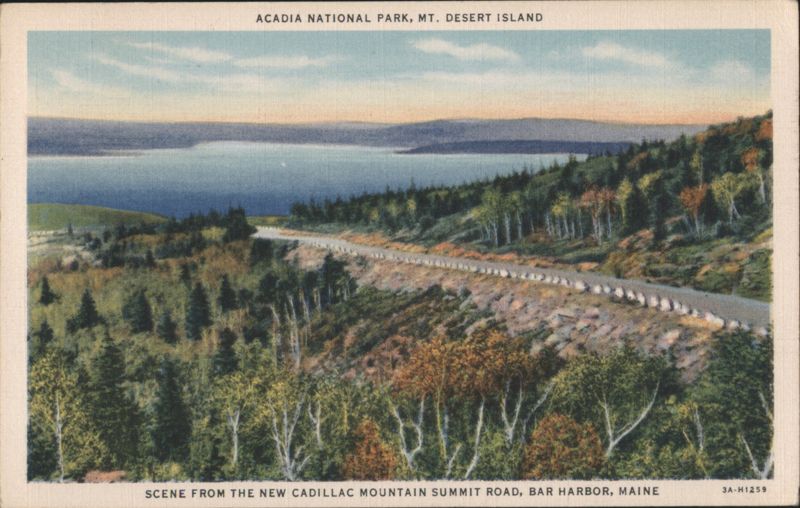 Scene From The New Cadillac Mountain Summit Road, Bar Harbor, Maine