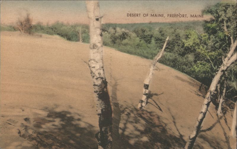 Desert of Maine, Freeport, Maine