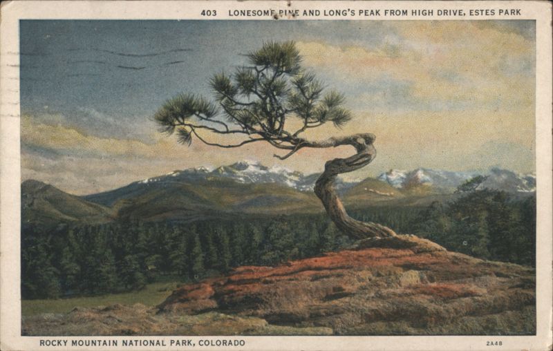 Lonesome Pine and Long's Peak from High Drive, Estes Park Colorado