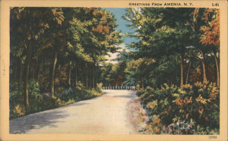 Greetings From Amenia, N.Y., Tree-Lined Road New York