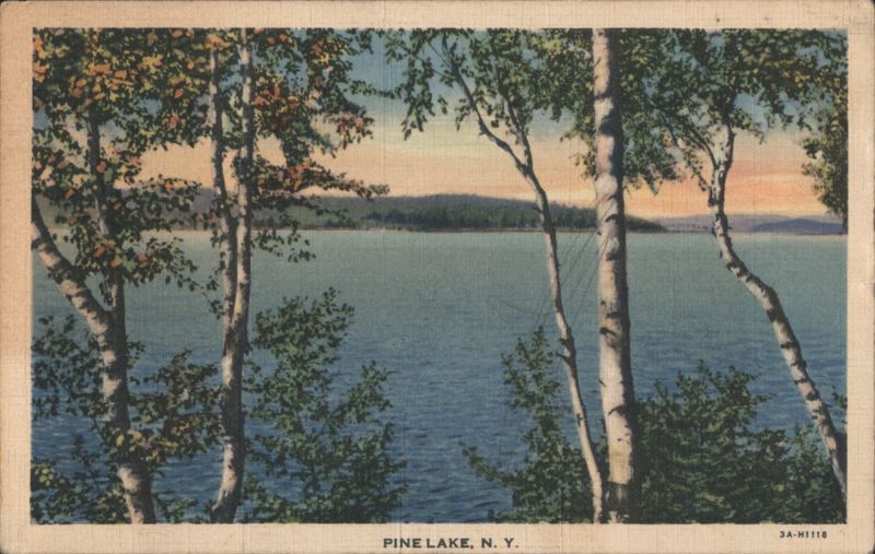 Pine Lake, N. Y. New York