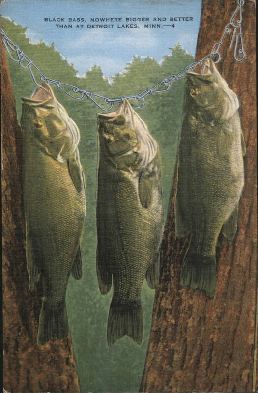 Black Bass, Detroit Lakes, Minn. Minnesota
