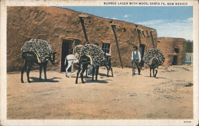 Burros Laden With Wood, Santa Fe, New Mexico