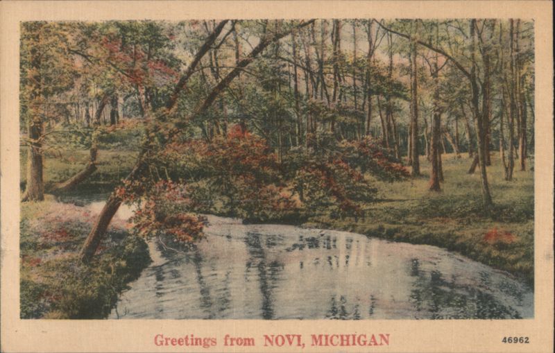 Wooded Stream, Novi, Michigan