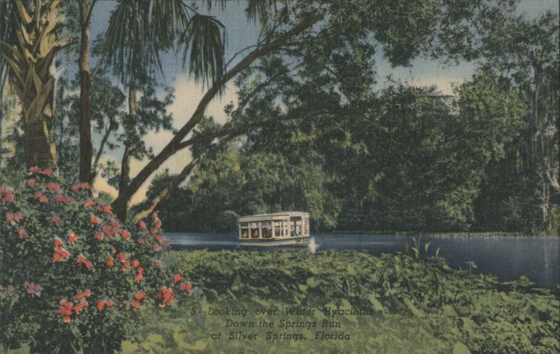Glass Bottom Boat on the Springs Run, Silver Springs Florida