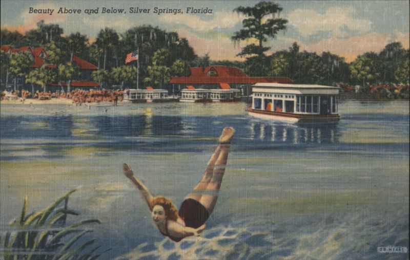 Beauty Above and Below, Silver Springs, Florida