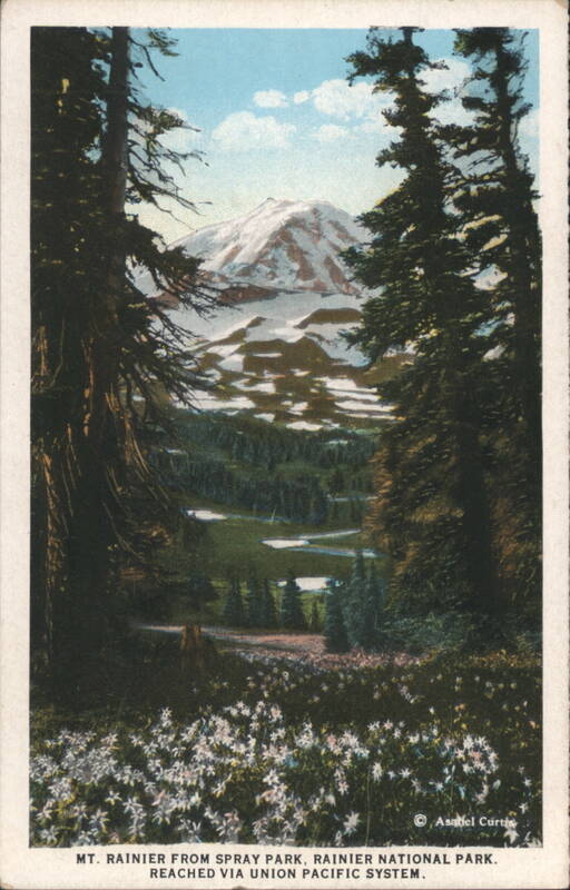 Mt. Rainier from Spray Park, Rainier National Park Washington