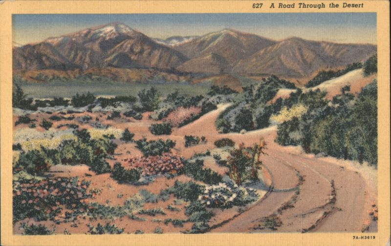 A Road Through the Desert California