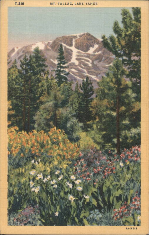 Mt. Tallac with Wildflowers, Lake Tahoe California