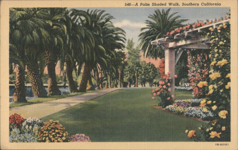 A Palm Shaded Walk, Southern California