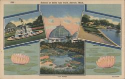 Scenes at Belle Isle Park, Fountain & Lily Ponds, Detroit, MI Postcard