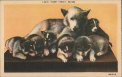 Husky Family, Alaska Postcard