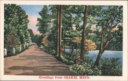 Lakeside Path, Osakis, MN Postcard