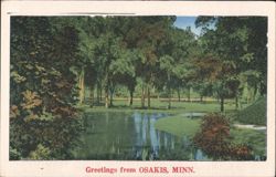 Park Scene with Pond, Osakis, MN Postcard