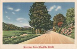 Country Road Scene, Osakis, MN Postcard
