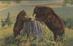 Learning Table Manners, Bears at Tree Stump Postcard