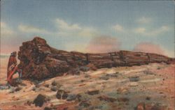 Nez by the Big Log, Petrified Forest Postcard