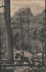 Bear Lake and Hallett's Peak, Rocky Mountain National Park Postcard