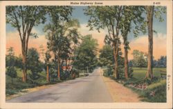 Maine Highway Scene Postcard